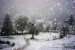 [obrazky.4ever.sk] zasnezeny park, snehove vlocky, stromy, kreslene 149528